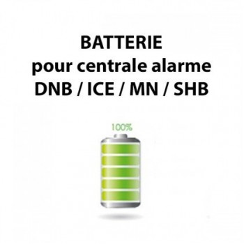 Batterie pour centrale d'alarme