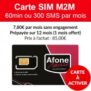 Carte SIM M2M 60min ou 300 SMS 12 mois