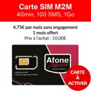 Carte SIM M2M 40min ou 100 SMS ou 1Go